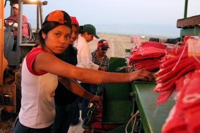 Imaginary female farm worker