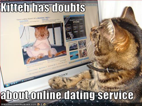 kittehdate