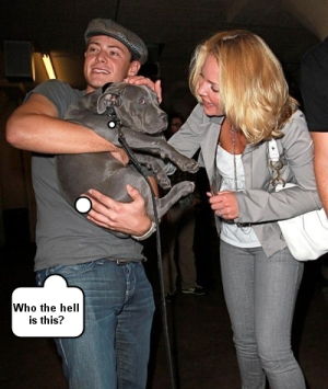 heigl