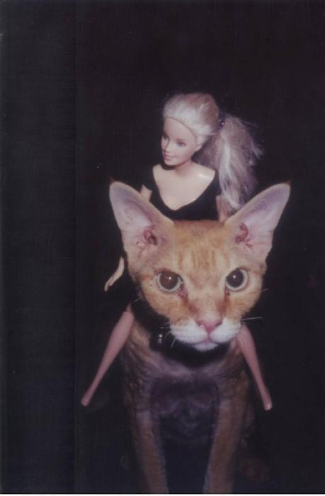 barbiecat