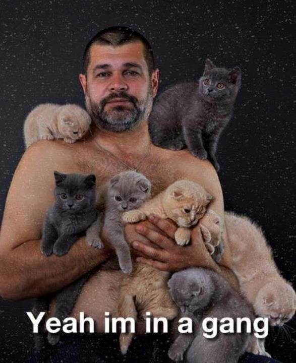 dudekittensgang