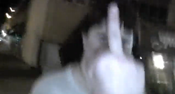 edmontonfingerPN