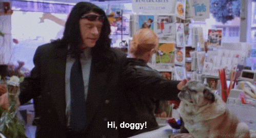 hidoggy