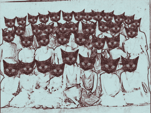 blinky cat ladies